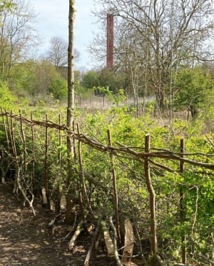 The importance of hedgelaying