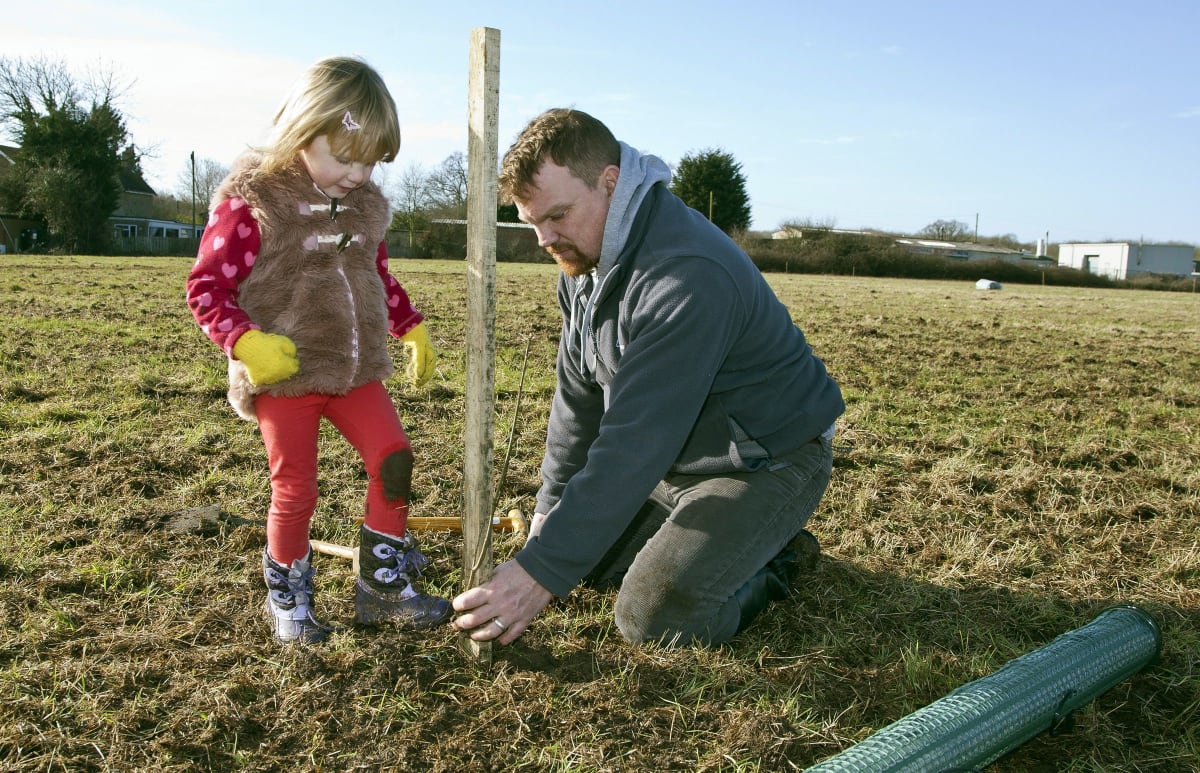 Little girl and her father plant a tree in a field