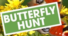 Butterfly hunt thumbnail