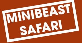 Minibeast safari Download button