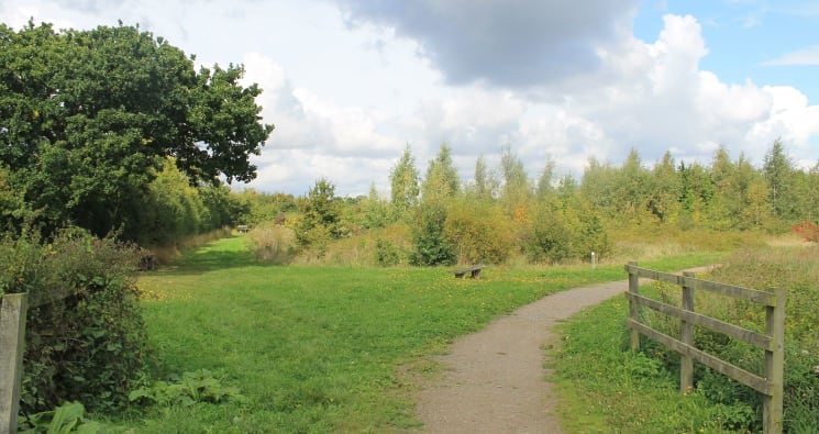 Gateway Woods in Autumn