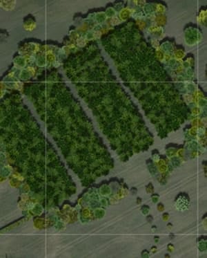Cartography in forestry - going digital...