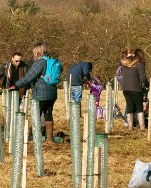 Trees for communities and schools