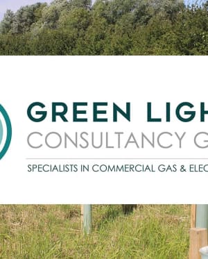 Greenlight Consultancy Group