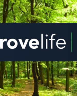 grovelife insurance specialists